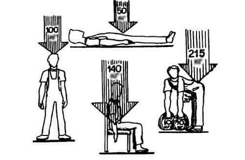 The load on the spine in different positions